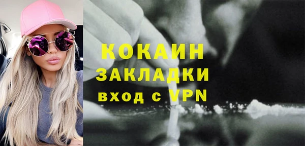 твердый Лиски