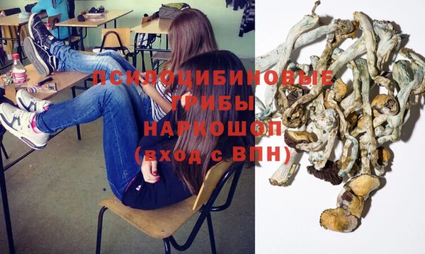 твердый Лиски